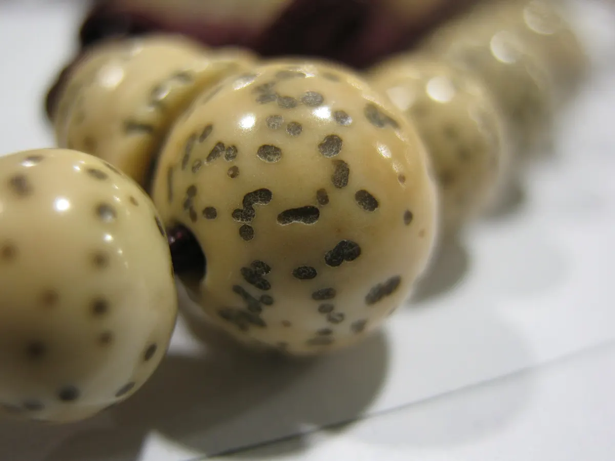 Pale lotus seed beads speckled with dark spots, strung close together on a mala
